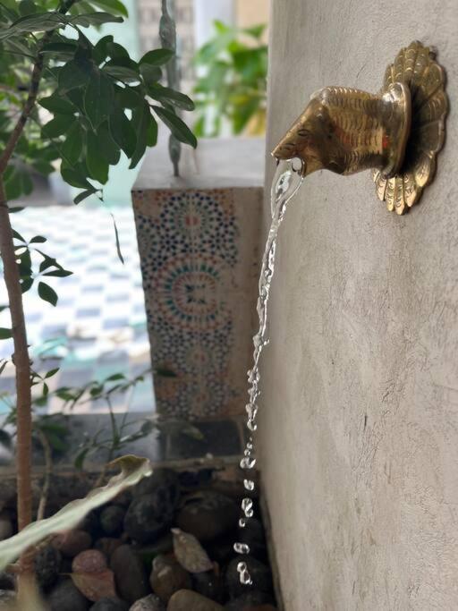 Riad Nadara, Superbe Riad Au Coeur De La Medina! Marrakesh Luaran gambar