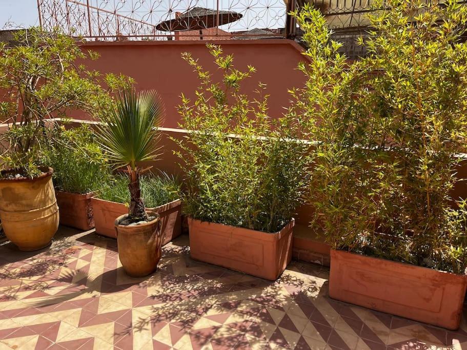 Riad Nadara, Superbe Riad Au Coeur De La Medina! Marrakesh Luaran gambar